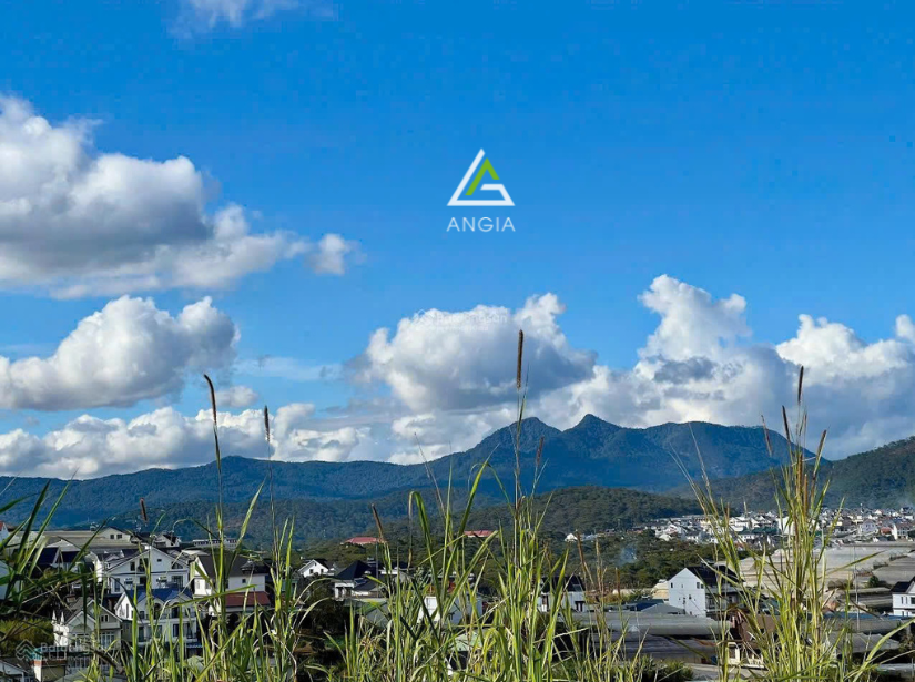 Đất Trịnh Hoài Đức - Giá: 6ty9