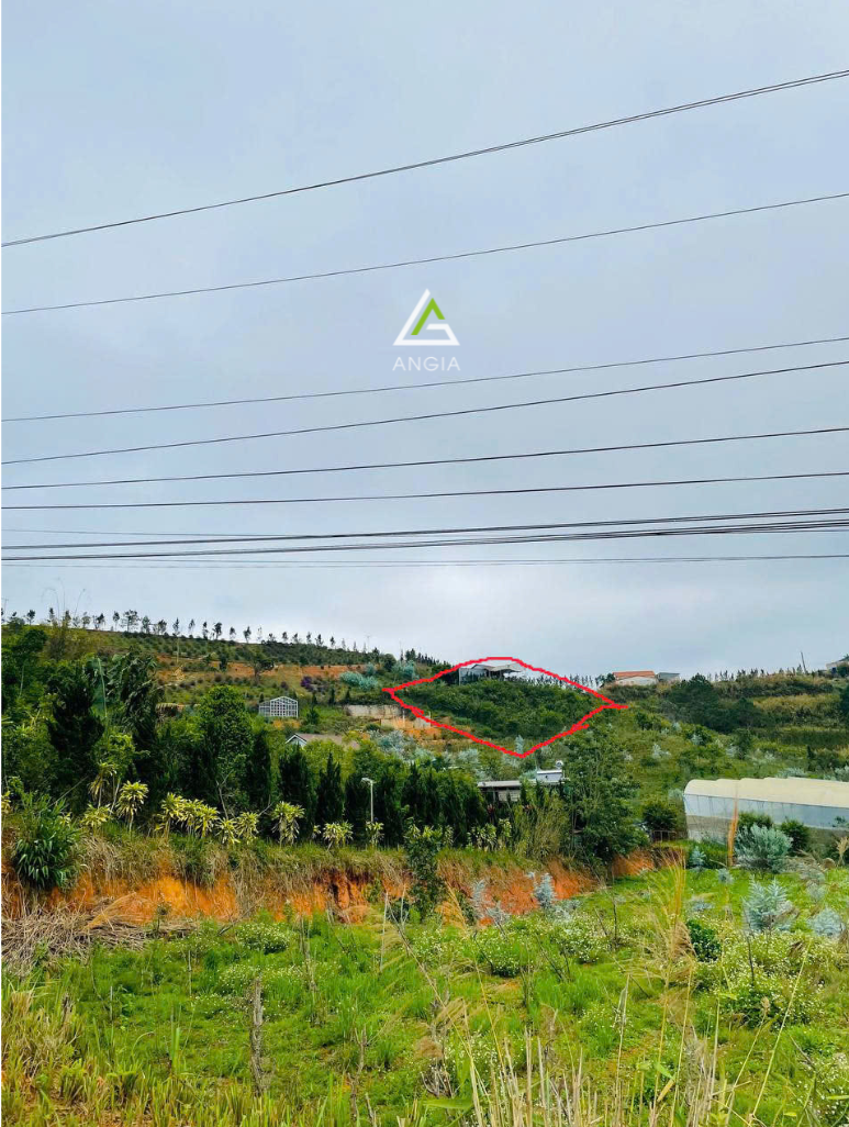 Đất xã Lát, Lạc Dương - Giá: 6ty5