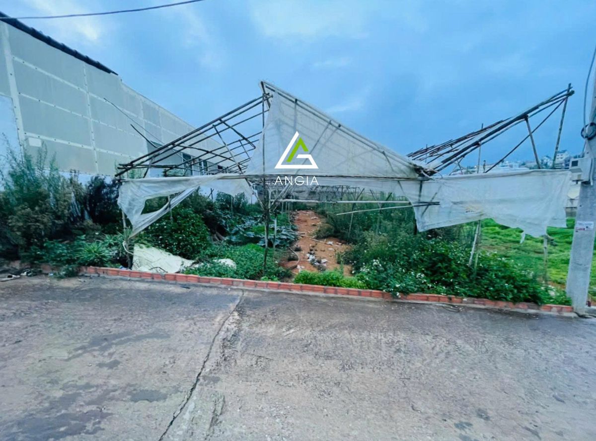 Đất Vạn Hạnh - Giá: 7ty5