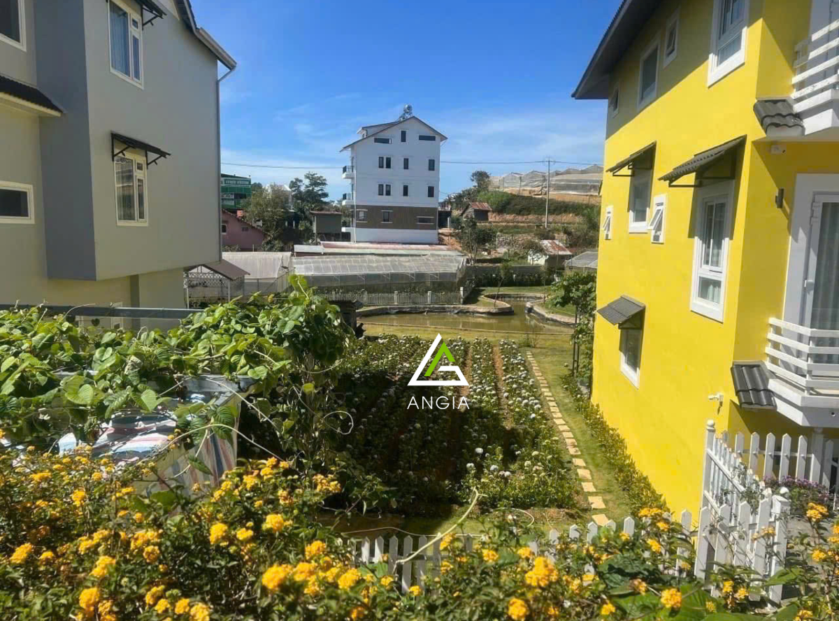 Đất Mặt tiền Tô Hiệu - Giá: 11ty
