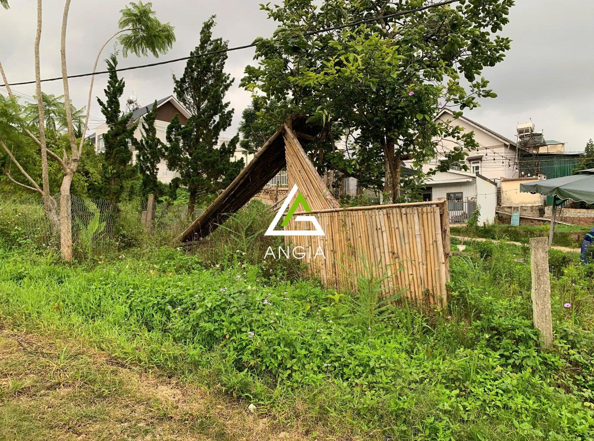 Đất Trần Đại Nghĩa - Giá: 4ty9