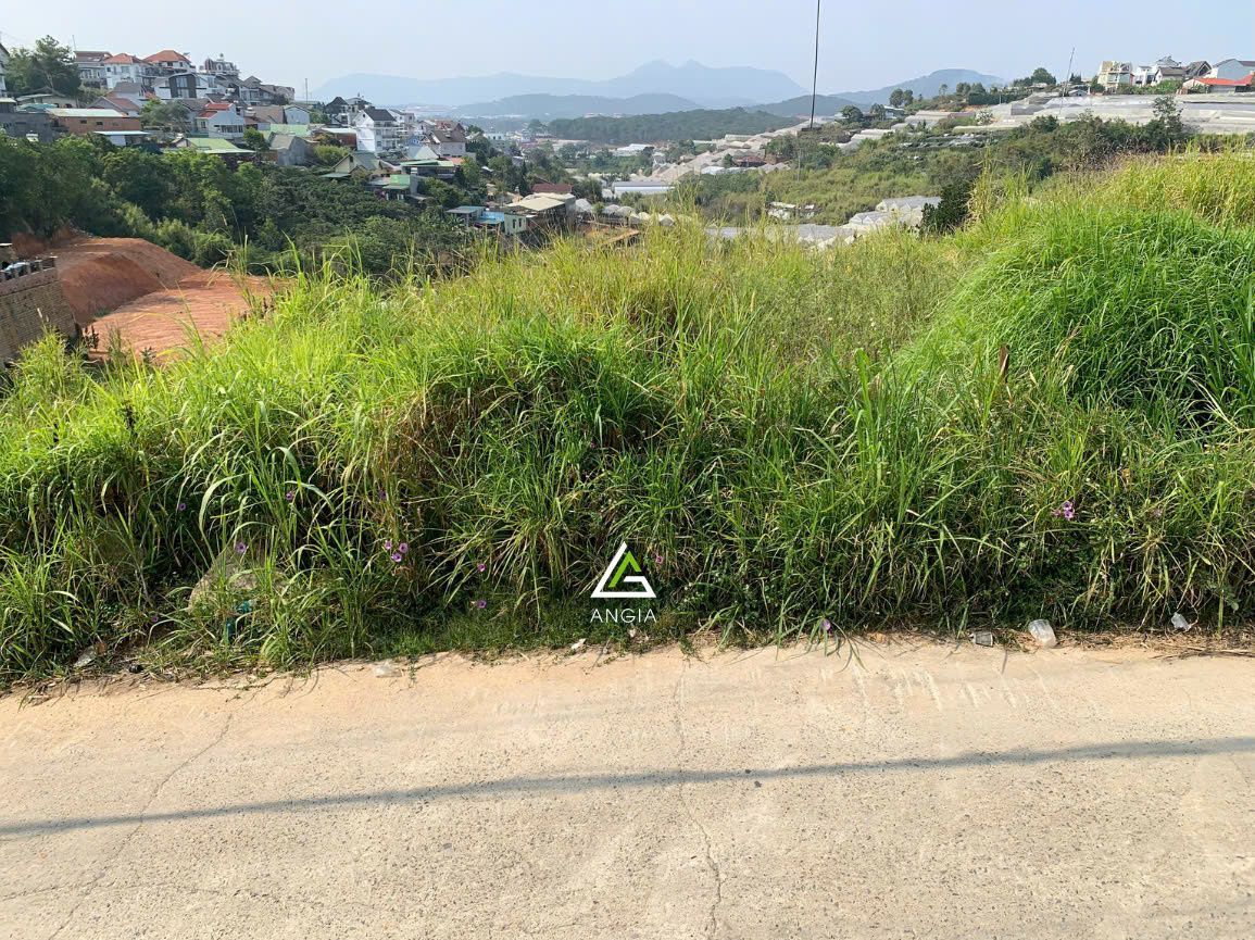 Đất Nam Hồ - Giá: 11ty7