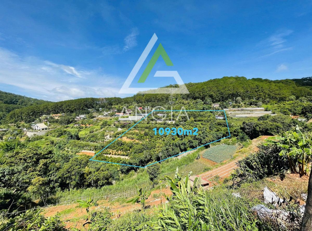 Đất Đèo Pren - Giá: 80ty