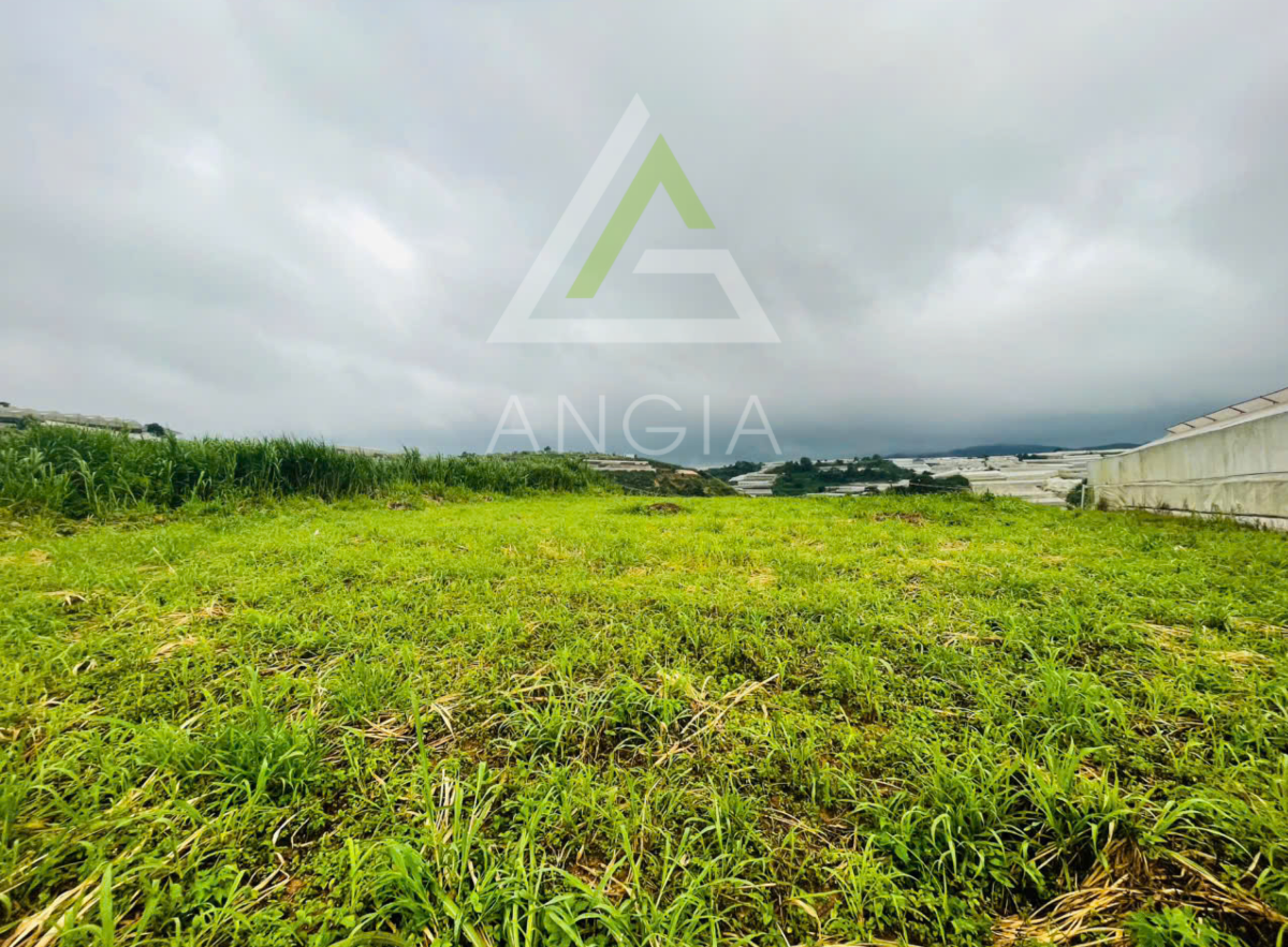 Đất Cao Thắng - Giá: 25ty150