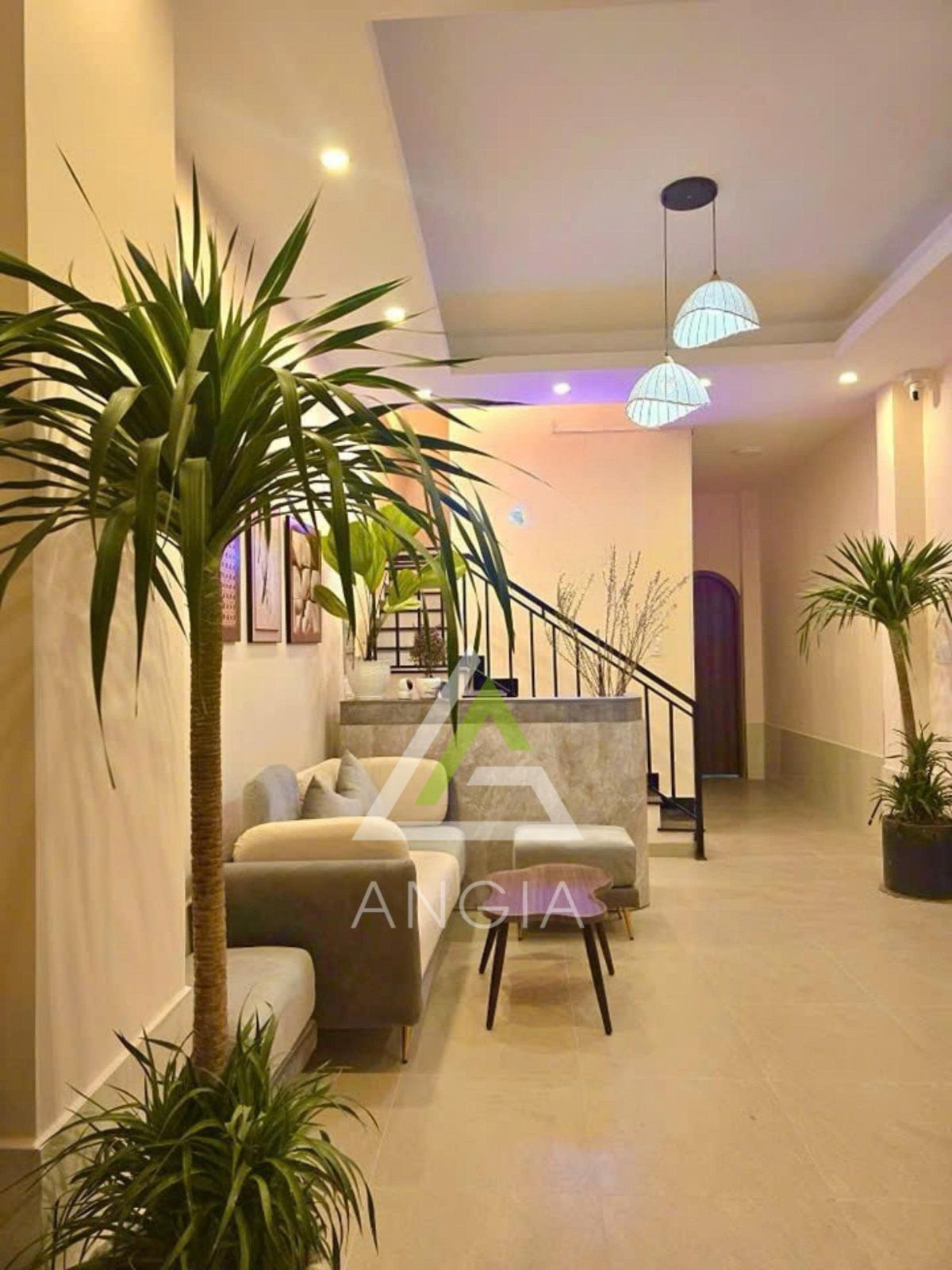 Nhà KQH Mạc Đỉnh Chi - Giá: 13ty