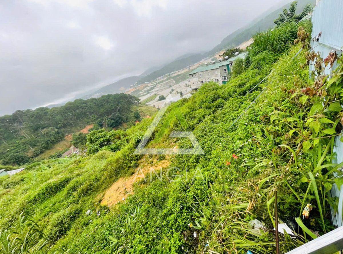 Đất Huyền Trân Công Chúa - Giá: 30ty
