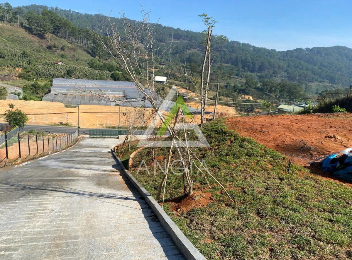 Đất xã Đạ Sar huyện Lạc Dương - Giá: 27ty