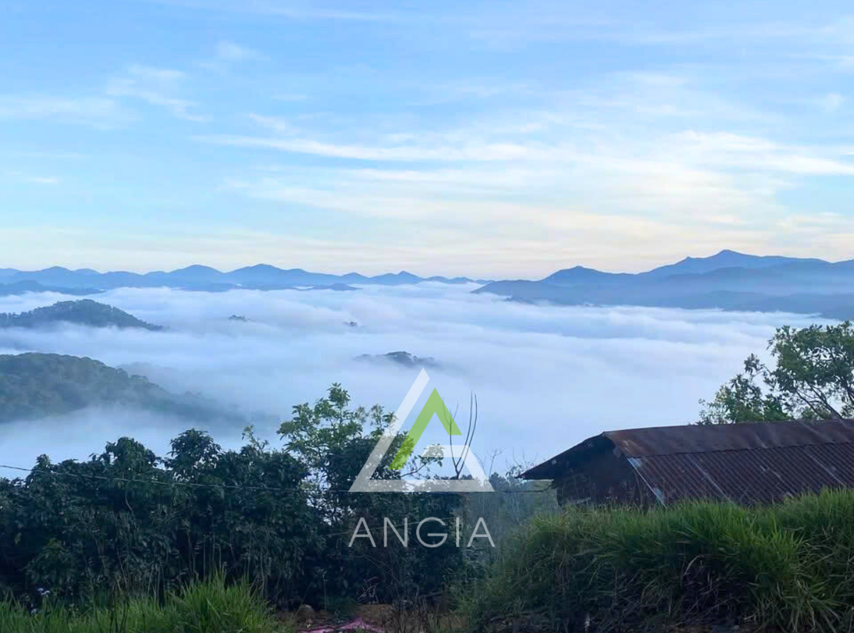 Đất Trạm Hành - Giá: 3ty5