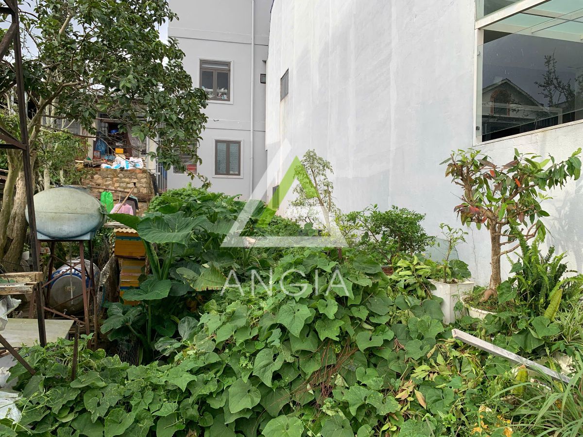 Đất Nguyễn Đình Chiểu - Giá: 4ty7