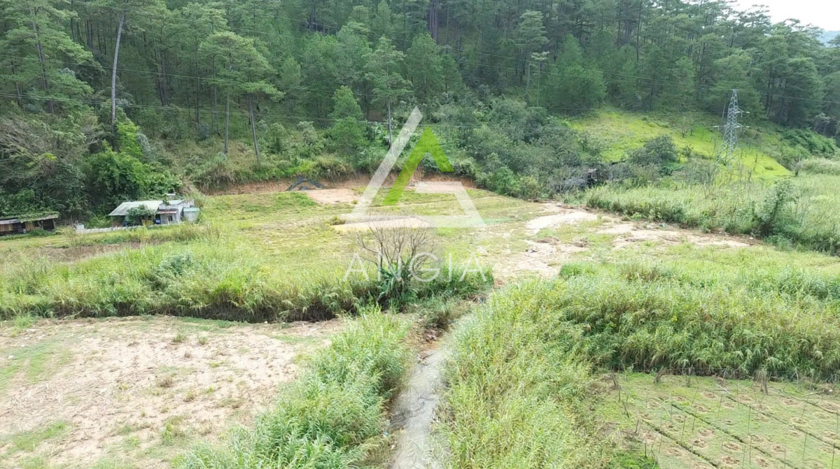 Đất Mimosa - Giá: 14ty