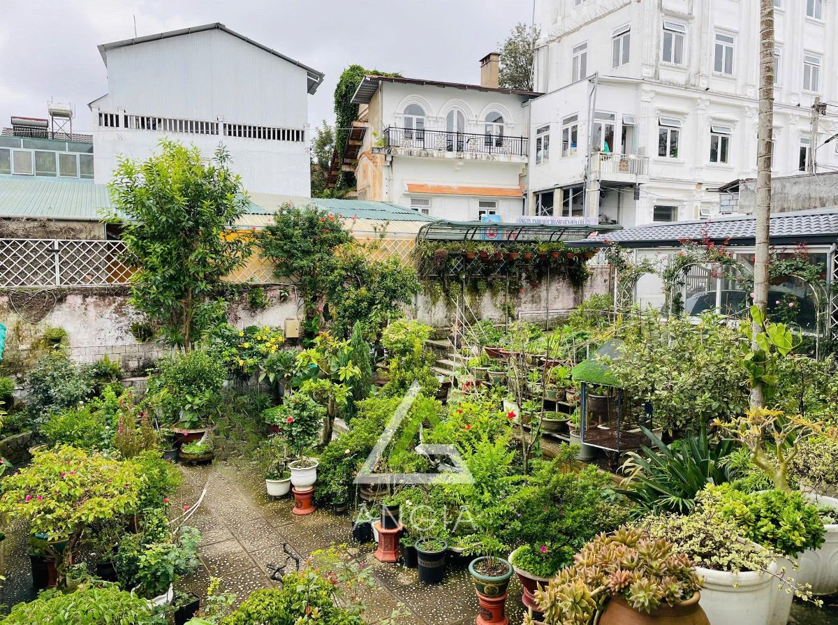 Nhà mặt tiền Võ Thị Sáu - Giá: 80ty