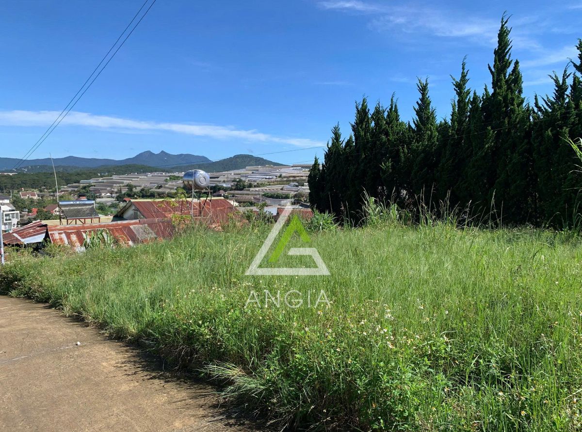 Đất Trịnh Hoài Đức - Giá: 8ty