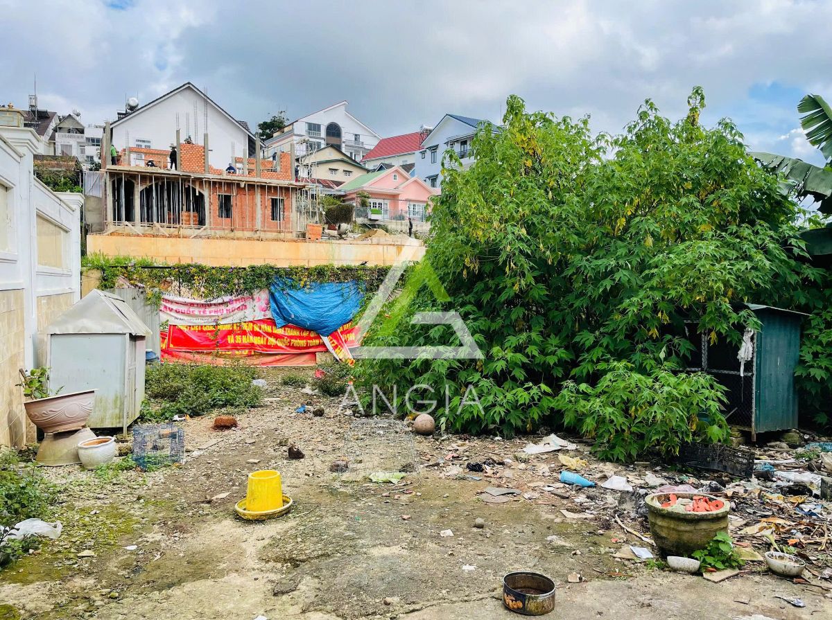 Đất Yersin - Giá: 18ty
