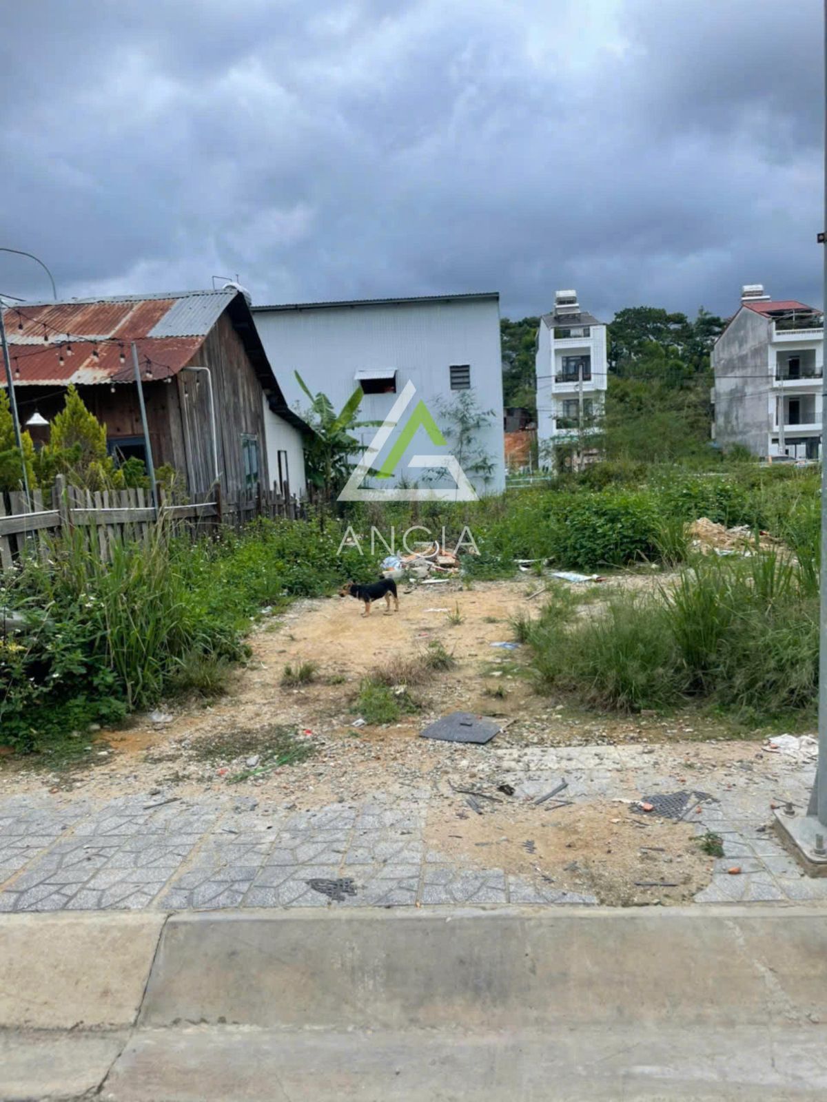 Đất KQH Phạm Hồng Thái - Giá: 9ty8