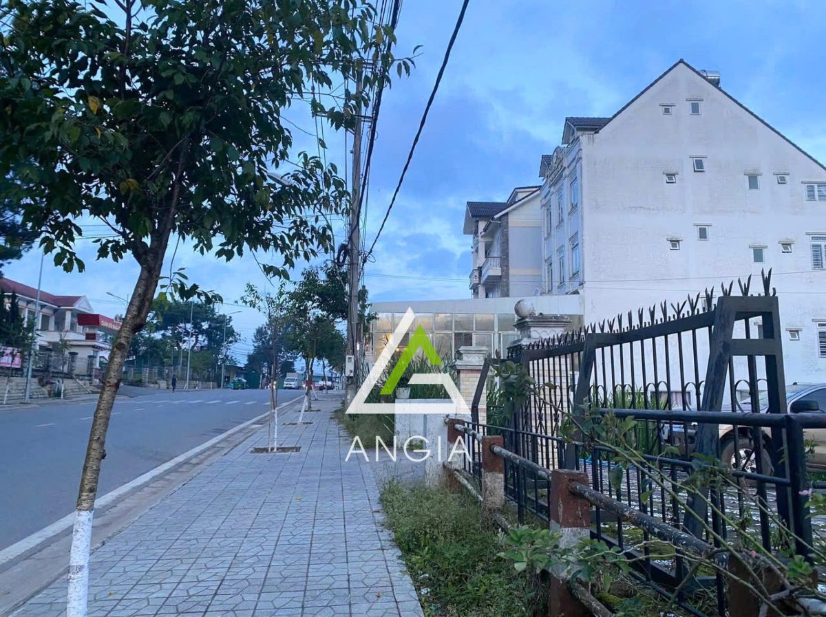 Đất 2 mặt tiền Mai Anh Đào - Trần Đại Nghĩa - Giá: 30ty