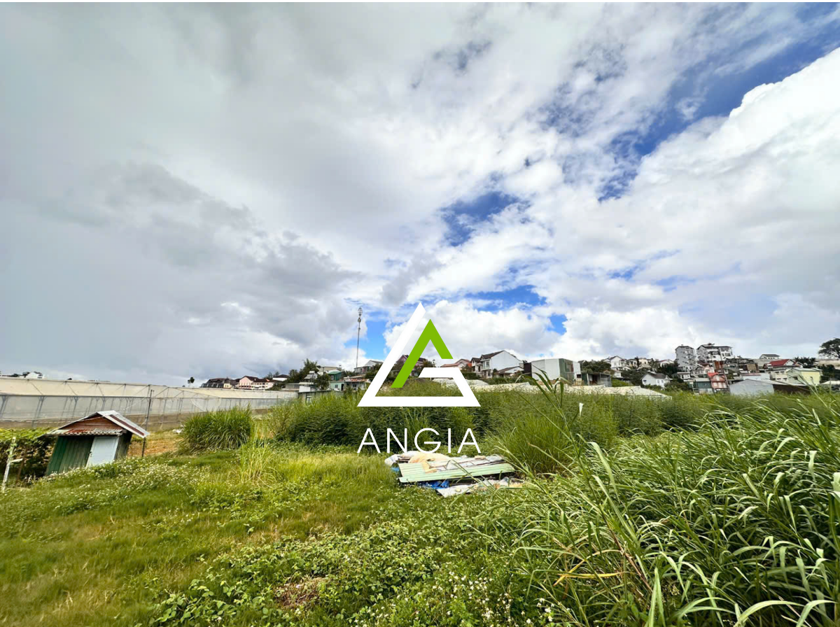 Đất Lý Nam Đế - Giá: 47ty360