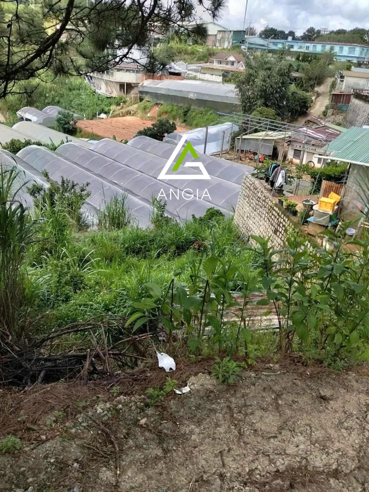 Đất Nguyễn Hữu Cảnh - Giá: 7ty8
