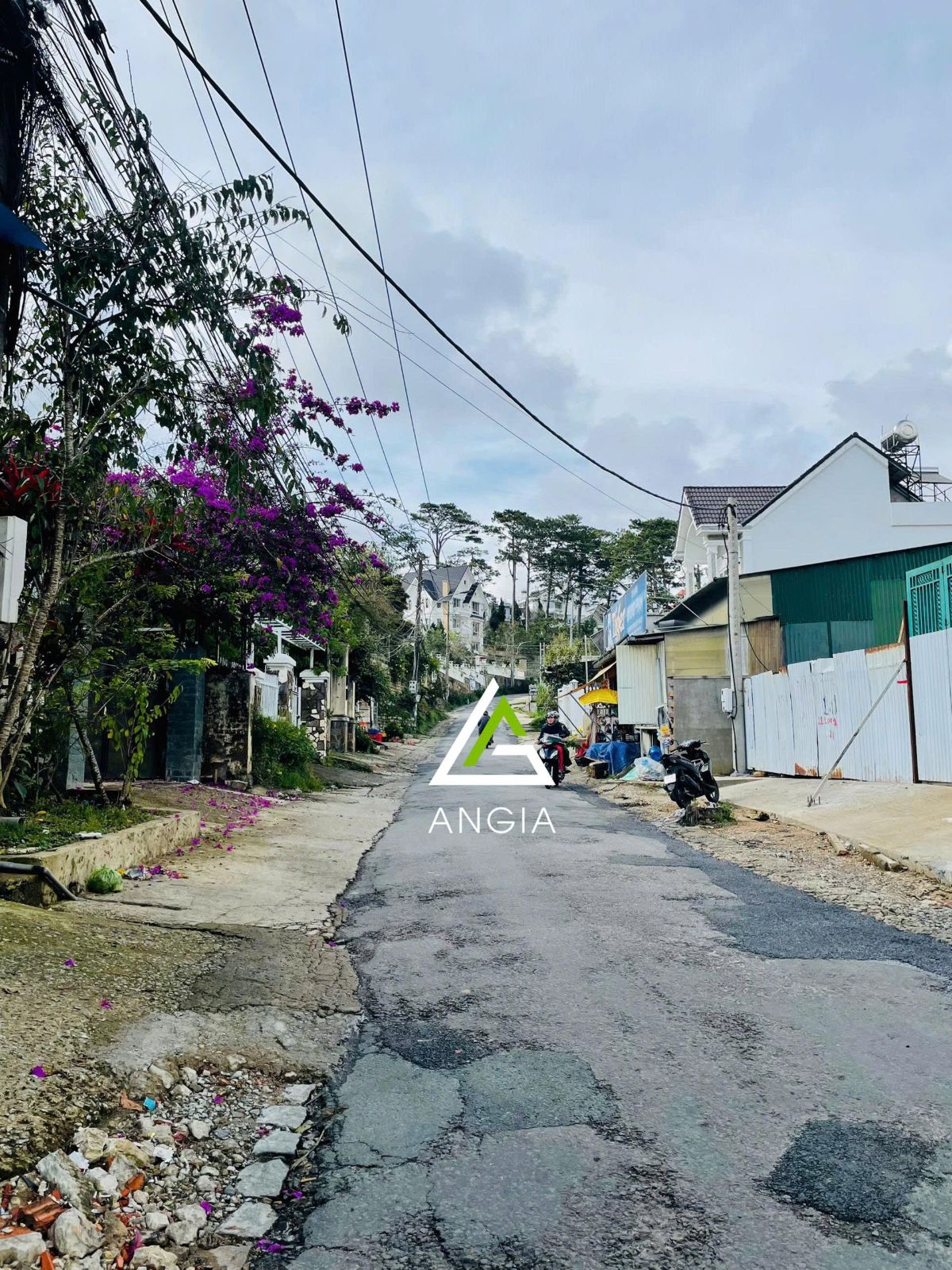 Đất mặt tiền Hoàng Hoa Thám - Giá: 13ty430