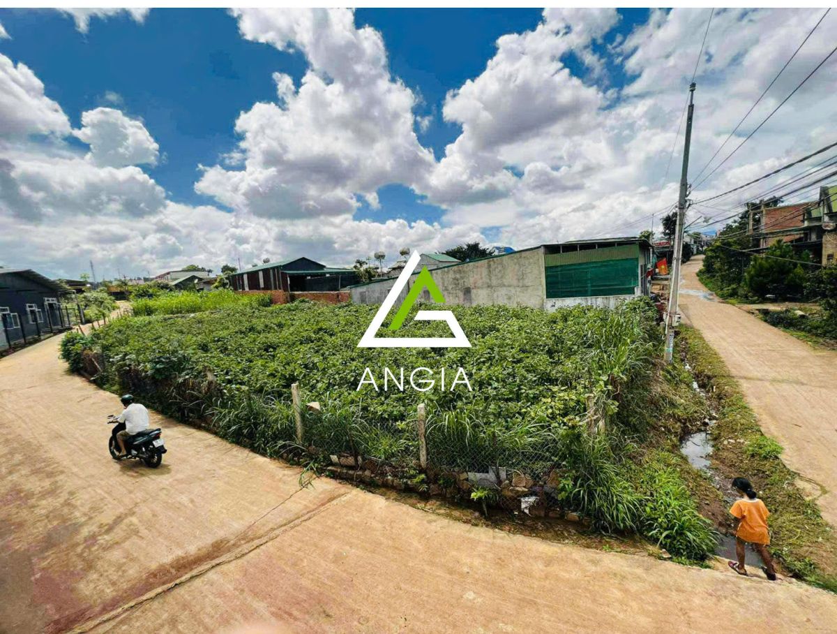 Đất thôn Đạ Ròn, huyện Đơn Dương - Giá: 1ty250