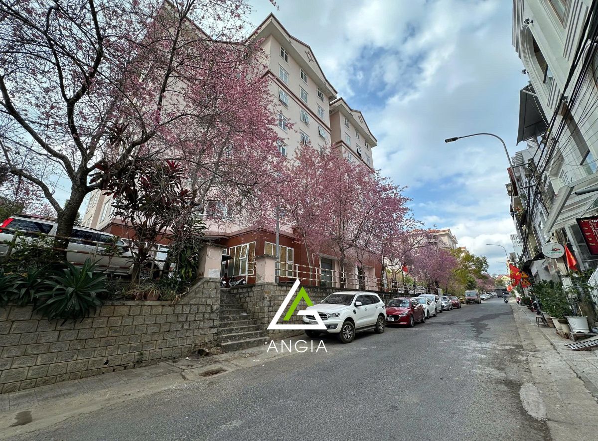 Căn hộ chung cư Yersin - Giá: 1ty4