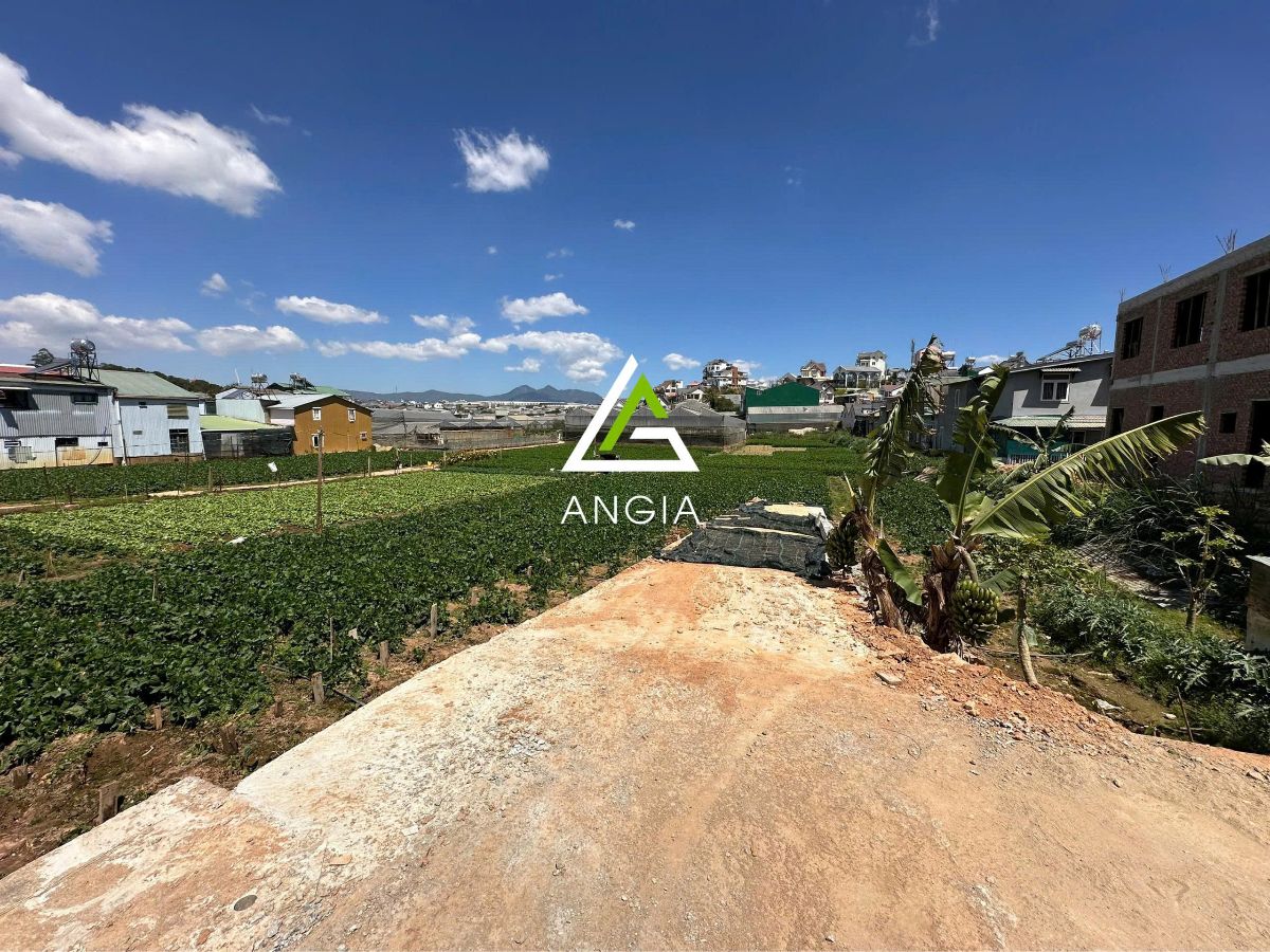 Đất Trạng Trình - Giá: 27ty3