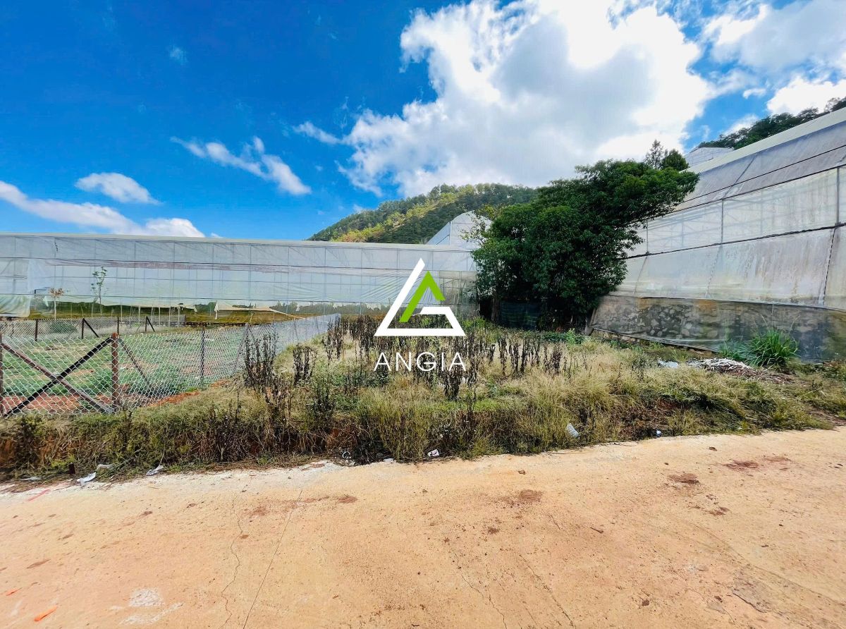 Đất Thái Phiên - Giá: 4ty280