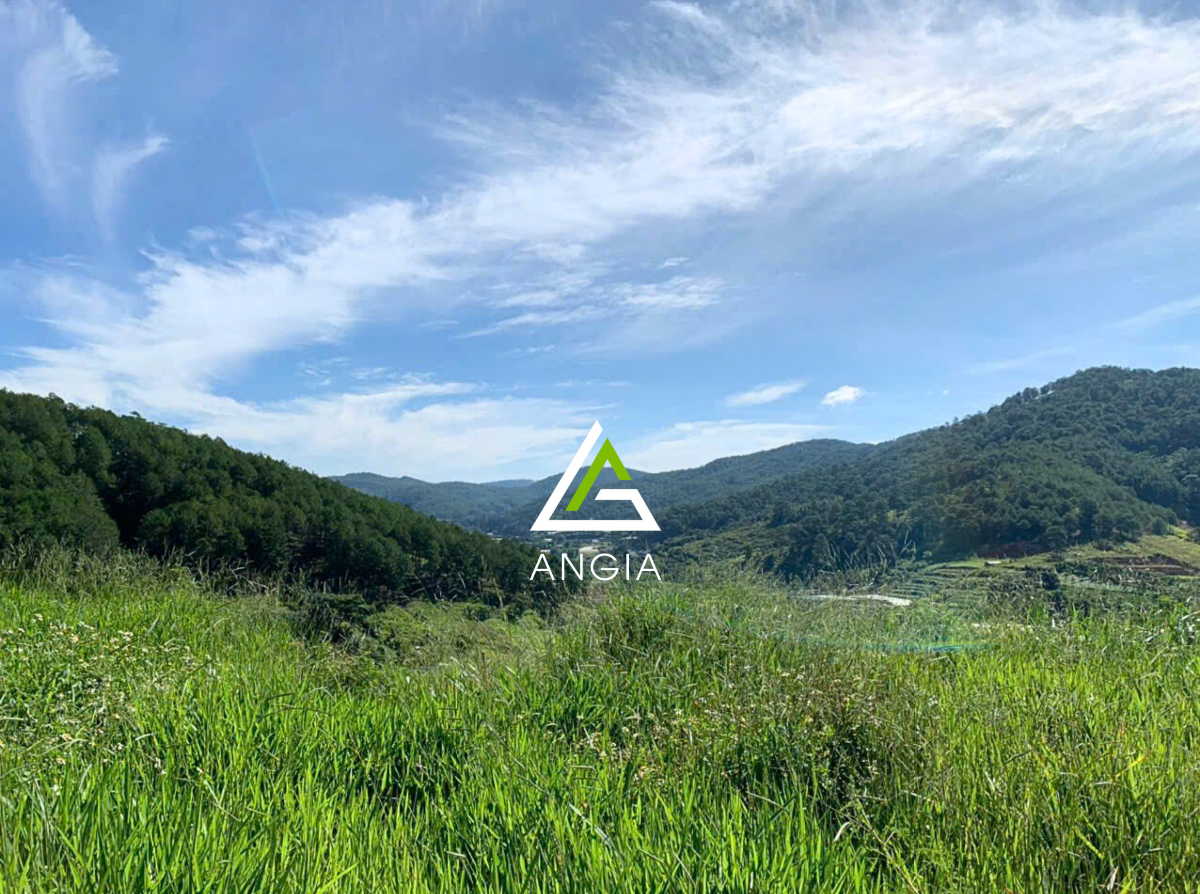 Đất Hiệp An, Đức Trọng - Giá: 400ty