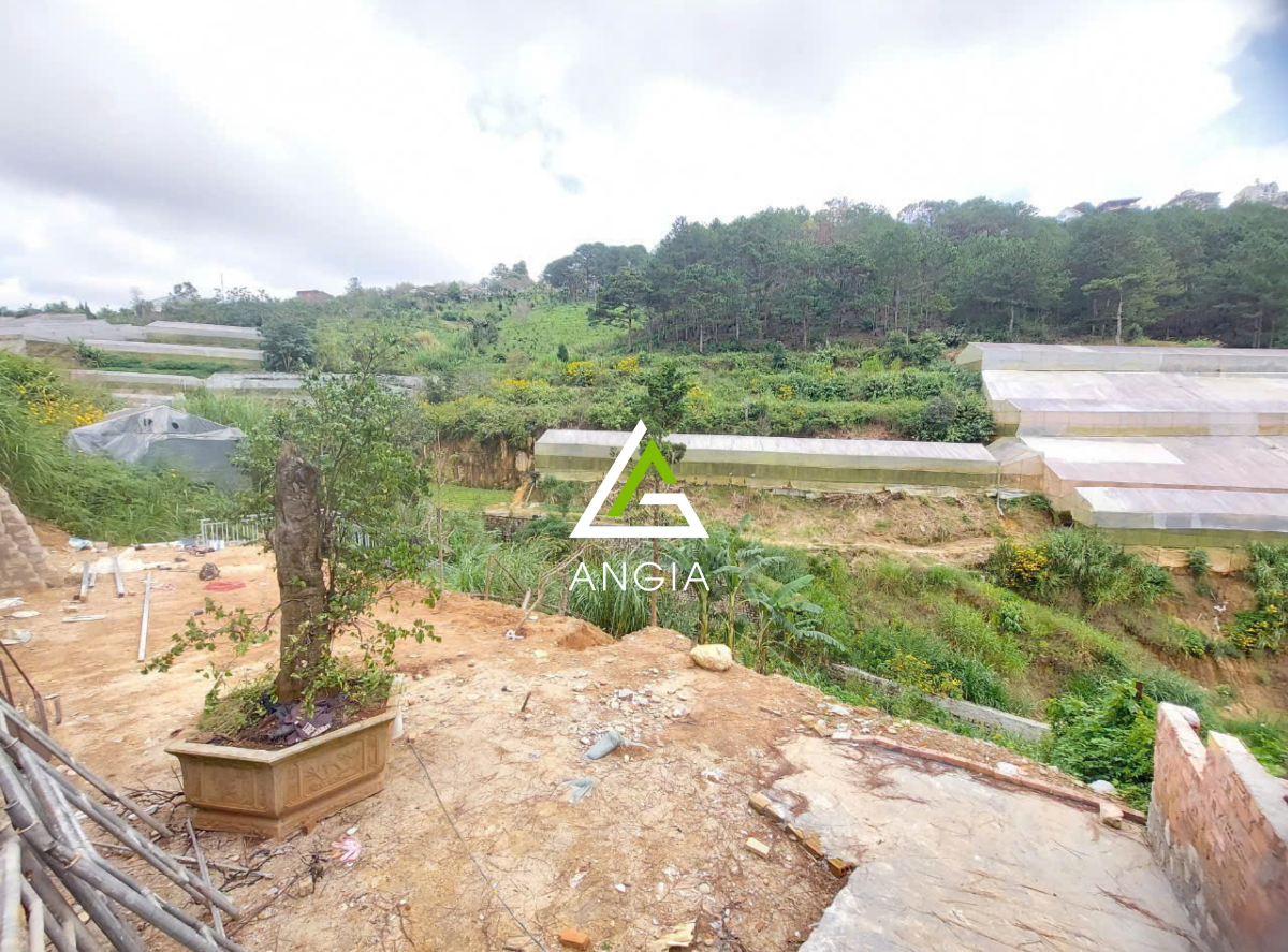 Đất Trần Thái Tông - Giá: 4ty