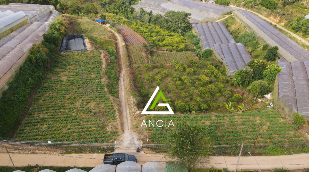 Đất Xuân Thọ - Giá: 32ty