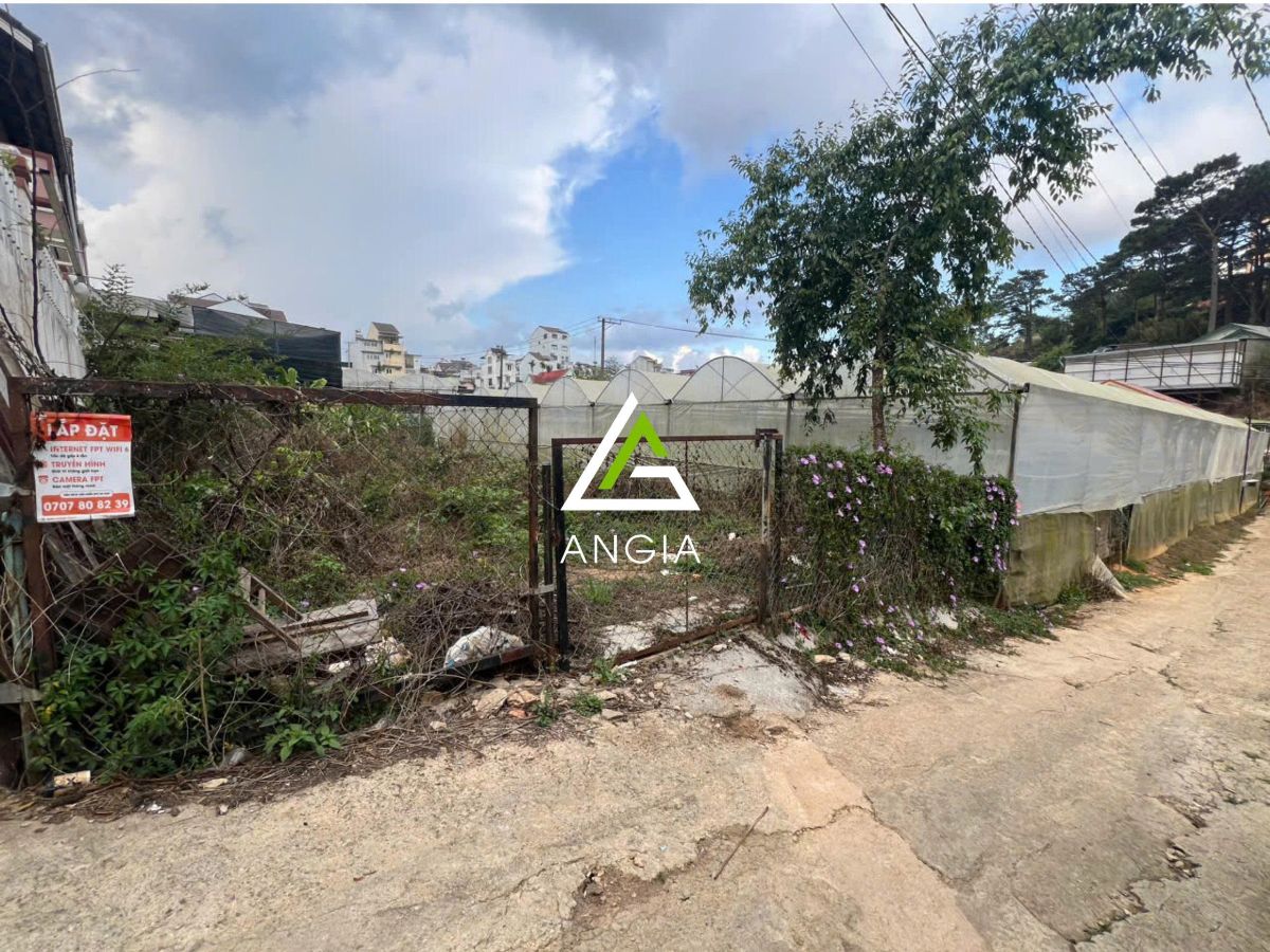 Đất Lương Đình Của - Giá: 4ty2/lô
