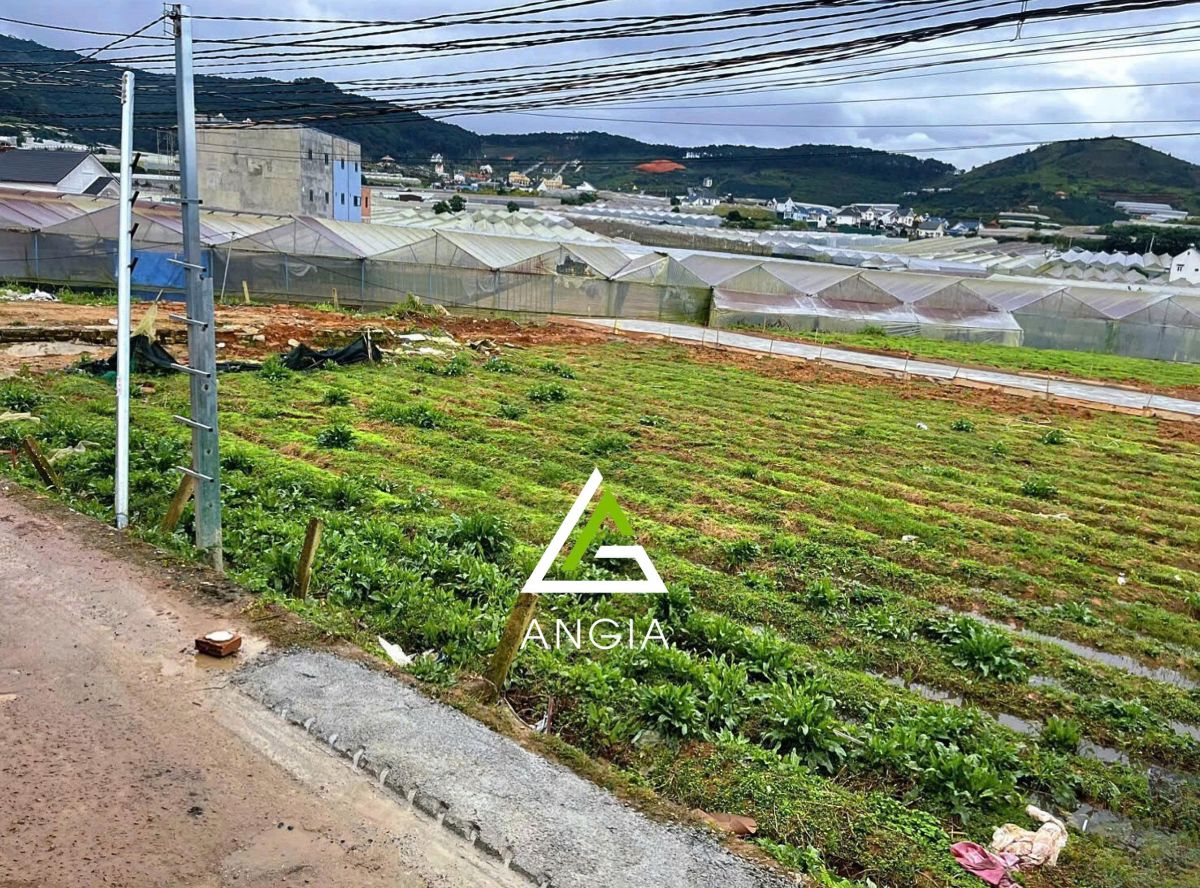 Đất đường Bon Dương, Lạc Dương - Giá: 2ty350