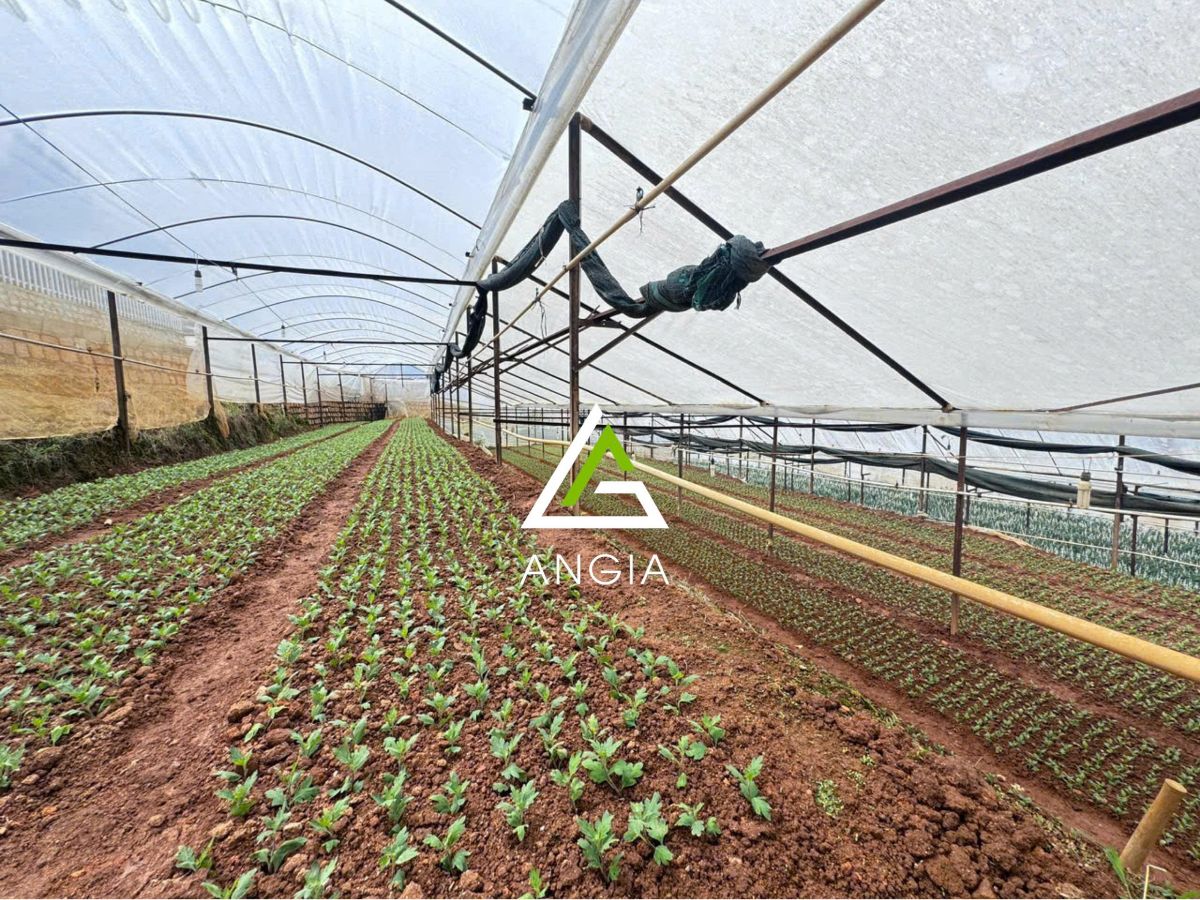 Đất Sào Nam - Giá: 56ty6
