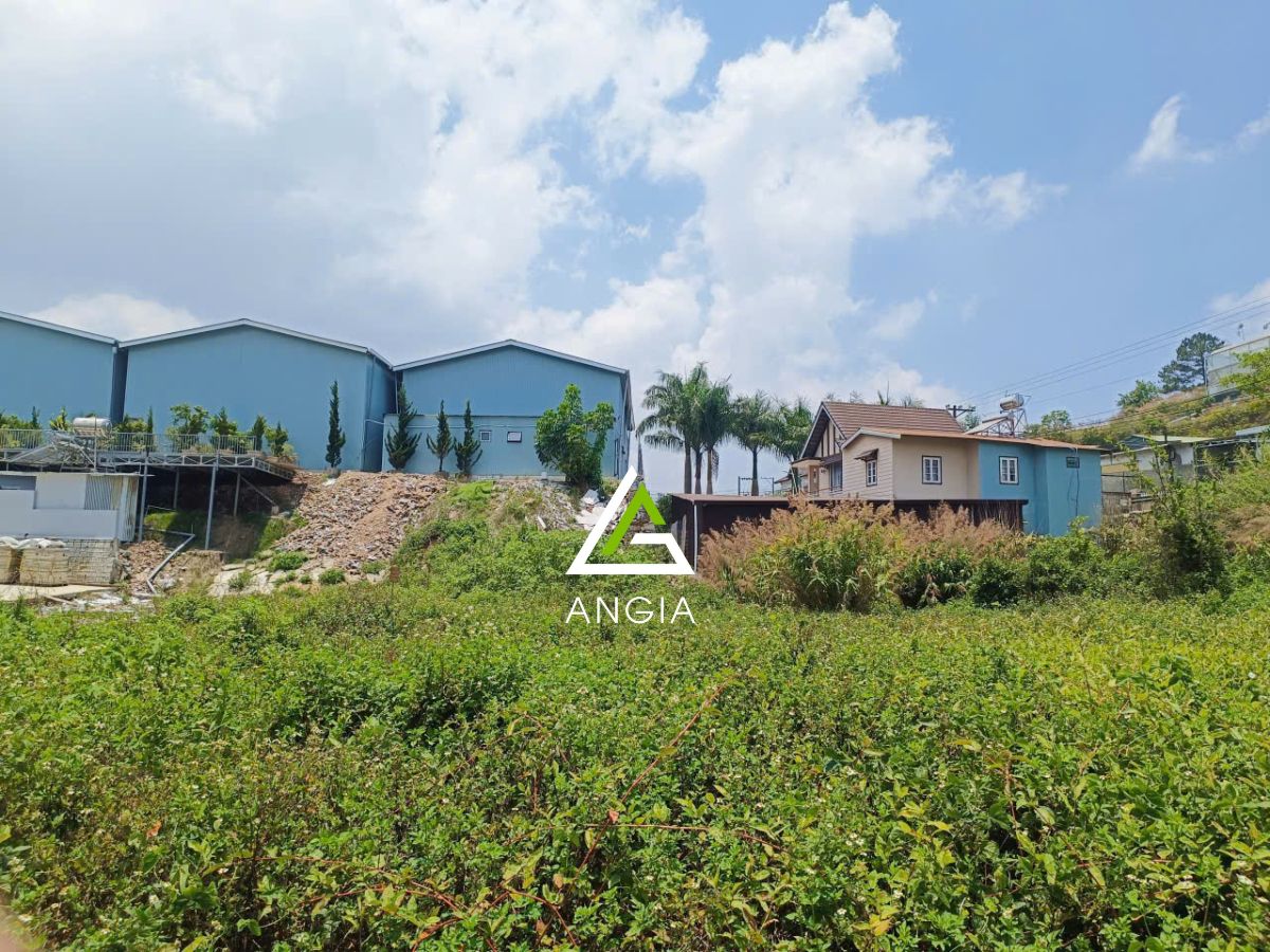 Đất mặt tiền Đa Phú - Giá: 22ty