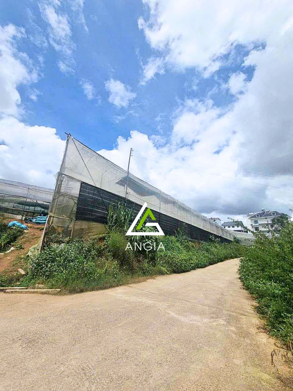 Đất Trịnh Hoài Đức - Giá: 38ty