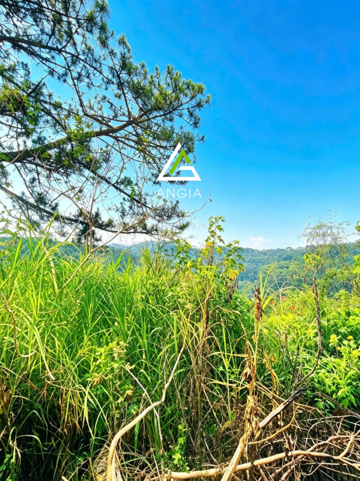 Đất Đặng Thái Thân - Giá: 30ty