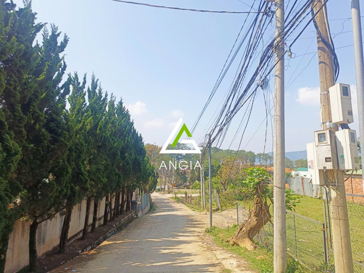 Đất Cam Ly - Giá: 17ty5