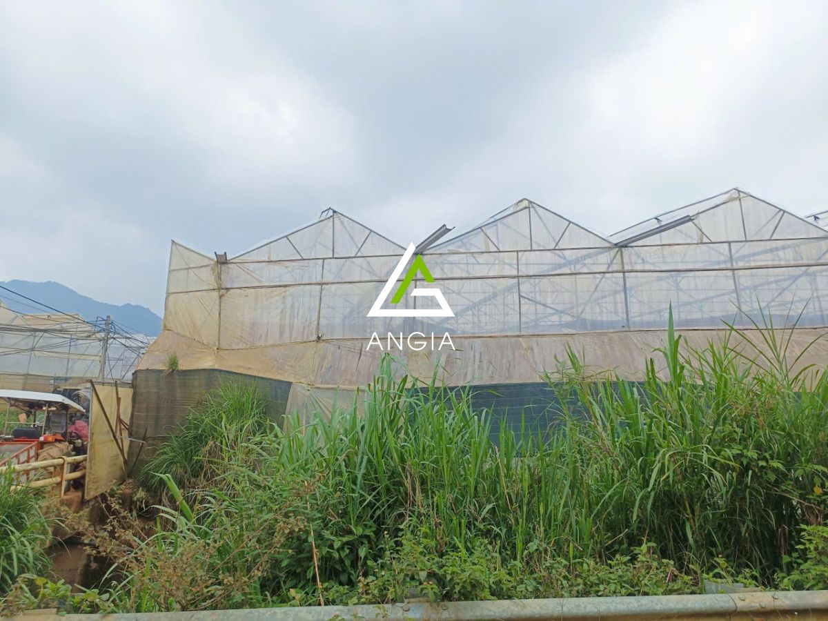 Đất Lạc Dương - Giá: 15ty