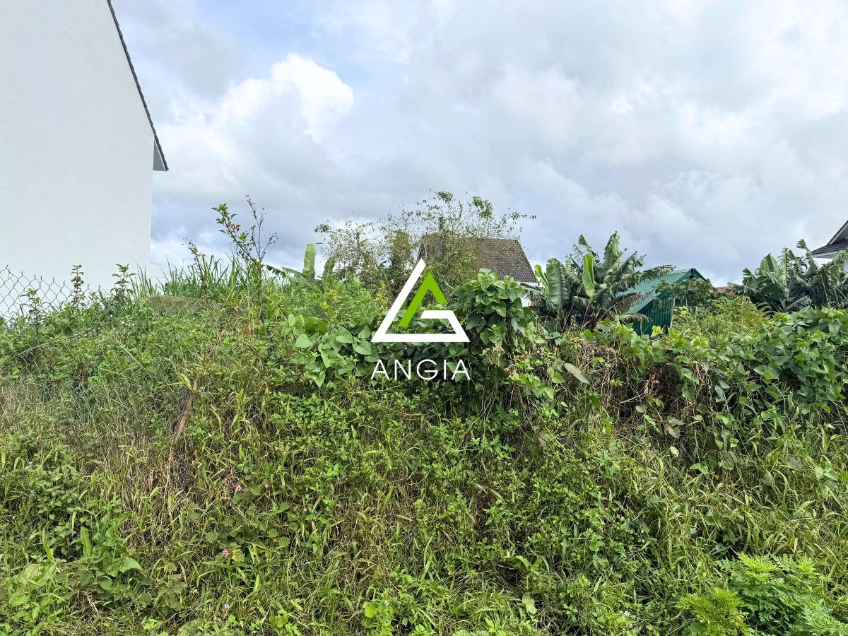 Đất Tố Hữu, Lạc Dương - Giá: 3ty3